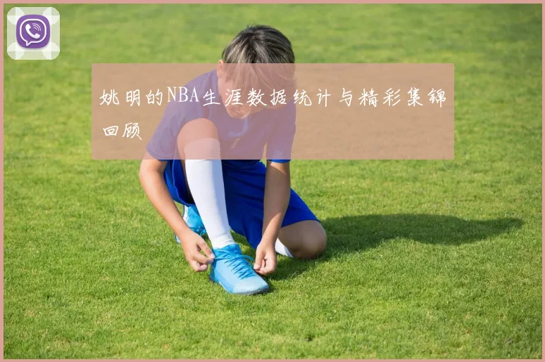 姚明的NBA生涯数据统计与精彩集锦回顾