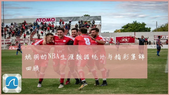 姚明的NBA生涯数据统计与精彩集锦回顾